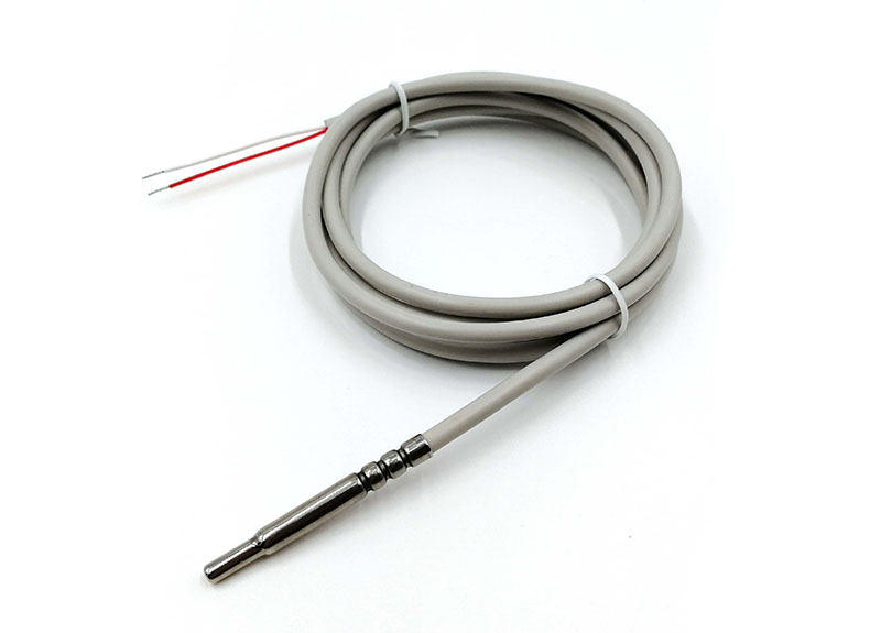 Cảm biến nhiệt độ chống nước PT1000 RTD (Cảm biến nhiệt độ 2-Wire)