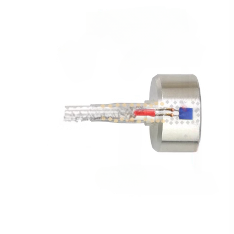 PT1000 từ tính RTD Cảm biến nhiệt độ dành cho điều khiển công nghiệp