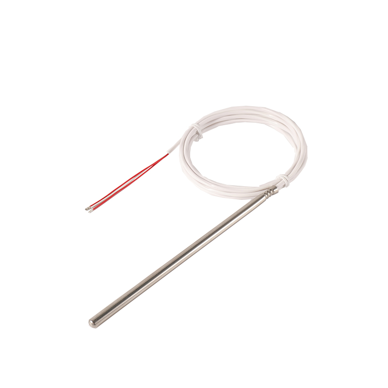 Cảm biến nhiệt độ Heraeus loại A (PT100) kèm đầu dò SS304/SS316